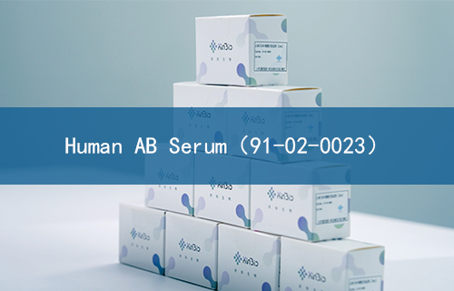 Human AB Serum（91-02-0023）